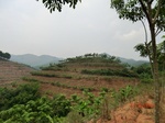 53661CIMG7035.JPG