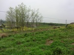 51783CIMG0011.JPG
