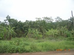 8920nigeria 135.jpg