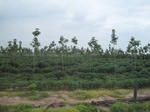 34446IMG_5429.JPG