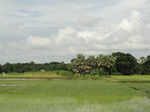 22154DSC00398.JPG