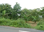 25942P1020361.JPG