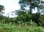 20563P1020420.JPG