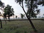 21751DSC00297.JPG