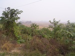 2949 053.jpg