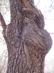 8616IMG_1241.JPG