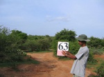 835463-scruland-scattered-2m-b.jpg