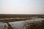 4477IMG_7897.jpg