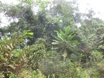 49103CIMG5440.JPG