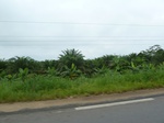 20376P1020233.JPG