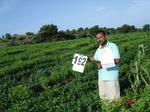 127010192c-rainfed-agriculture-mixedcrop-blackgram-soyabean-cotton-gram.gif
