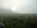 38186P1080112.JPG