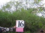 1175716-shrubland-significant-neem-forest-iucna.jpg