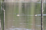 399IMG_3508.JPG