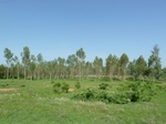 19470P1010317.JPG