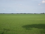 15652IMG_4724.JPG