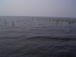 687R0015195.jpg