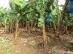 51327CIMG1008.JPG