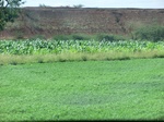 56332CIMG7079.JPG