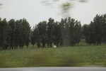 2024-08-05_16-09-01_0183CAFB-48DA-4072-92D7-8070B850F920.jpeg