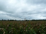 18272P1000108.JPG