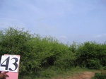 1190343-scrubland-b.jpg
