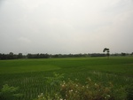 21716DSC00256.JPG
