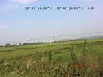 53862earlyrice_8.gps.jpg