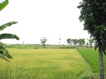 15895IMG_4443.JPG