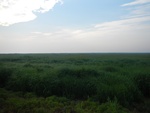 54304DSCN1577.JPG
