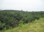 33650IMG_5840.JPG