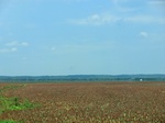 2012-08-30_11-29-27_CIMG4202.JPG