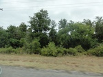 35799DSC02561.JPG