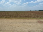 36092P1040956.JPG