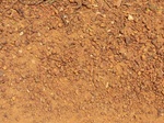 48761CIMG5098.JPG