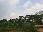 49852CIMG6189.JPG