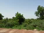 19160P1010006.JPG