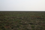 4203IMG_8841.JPG