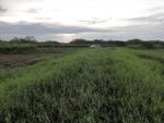 24872DSC01086.JPG