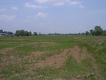 28274RIMG0276.JPG