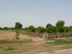19011P1000855.JPG
