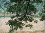 1694210052008(10).JPG