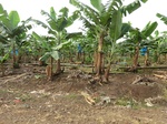 50451CIMG1080.JPG