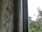 49510CIMG5847.JPG