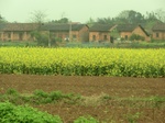 51638CIMG0401.JPG