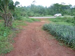 20191P1020045.JPG