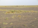 36680CIMG0449.JPG
