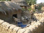 244422010-02-12.jpg