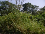 8957RIMG0032.JPG