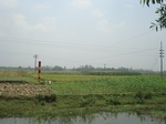 21841DSC08424.JPG